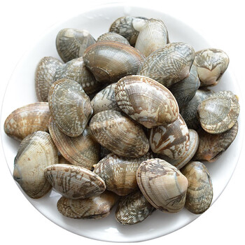 花甲蛤蜊鲜活新鲜花甲大花蛤蜊无沙青岛特产贝壳海鲜水产2斤花甲