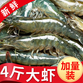冷链运输大虾鲜活新鲜冷冻超大号虾青虾对虾深海捕捞白虾鲜虾生鲜索维