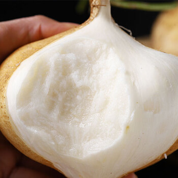 魃鲜新鲜凉薯白地瓜生吃土瓜凉薯水果5斤装