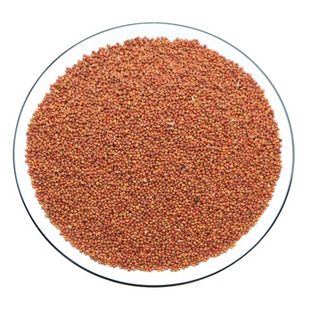 楮实子500克中药材褚实子楮实楮实籽诸实子