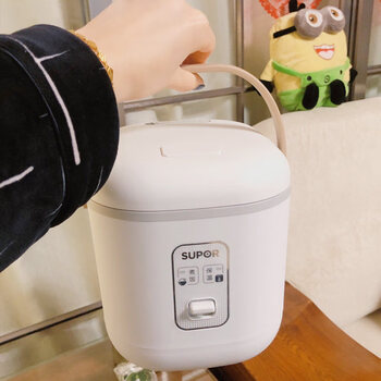 小电饭煲123人家用迷你小型多功能智能煮蒸电饭锅一人食鸥莱茵白色12l