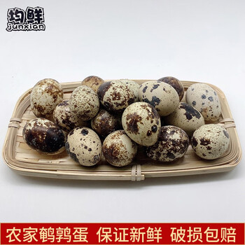 均鲜新鲜生鹌鹑蛋火锅食材农家特产孕妇宝宝营养辅食小零食可卤鹌鹑蛋100枚 图片价格品牌报价 京东 均鲜新鲜生鹌鹑蛋火锅食材农家特产孕妇宝宝营养辅食小零食可卤鹌鹑蛋100枚 图片价格品牌报价 京东