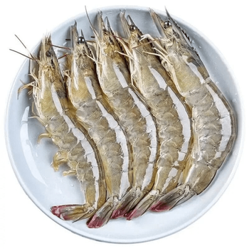 臻藓钰青岛大虾活虾船冻口感鲜甜超大基围虾青虾特大号大对虾 虾8斤
