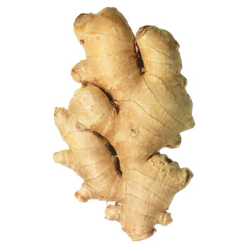 山东特产老母姜新鲜小生姜老姜月子姜现挖土姜母大姜泡脚姜3斤