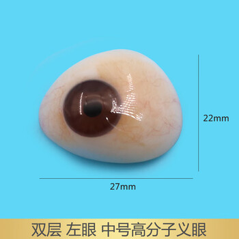 进口高分子树脂义眼片眼球萎缩摘除蜡像定制残疾人夹眼球双层左眼中号