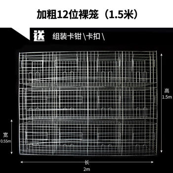 瑾伦大号鸽子笼养殖笼用品用具加粗12位鸽笼子16位配对笼肉鸽繁殖笼