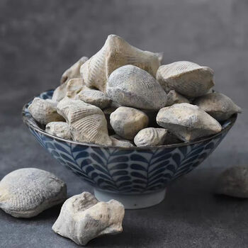 石燕子 燕子石 大石燕中草药 石燕【5克一点点】【图片 价格 品牌