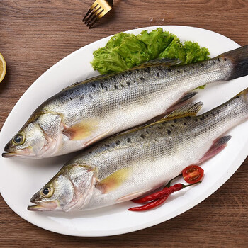 小平岛 海鲈鱼新鲜冷冻海鲜水产生鲜冰鲜3条 整条鲈鱼3条(400-500g/条