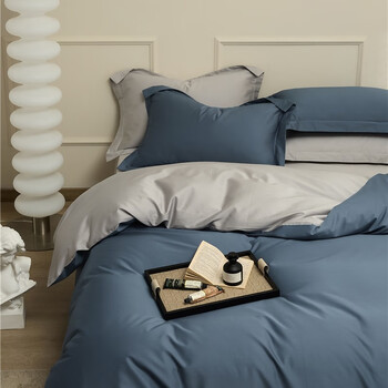 AIDLI 床上四件套纯棉100S新疆长绒棉纯色全棉双人套件 （四季款）菊蓝-浅灰 1.5/1.8m床 床单款 （被套200*230cm）