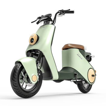 电动自行车排名前十名(电动自行车新能源电动自行车十大名牌) | 分享