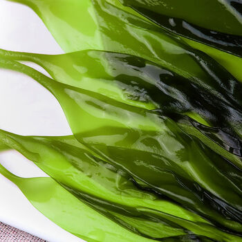 海带苗嫩嫩苗新鲜小海带嫩芽一日三餐代餐轻食0脂肪 头水海带苗3斤