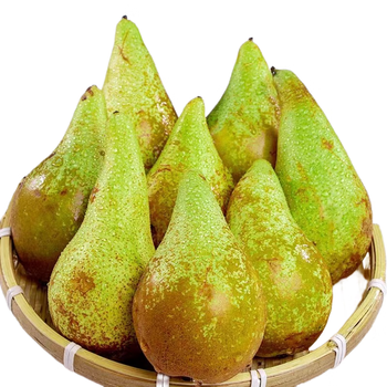 鲜配坊比利时进口啤梨新鲜无核青啤梨软糯香甜老人宝宝水果3斤精选装