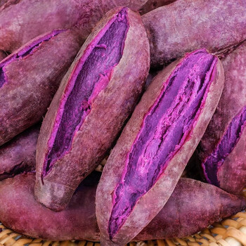 新鲜蜜薯糖心板栗红薯新鲜地瓜小香薯番薯农家自种精选9斤