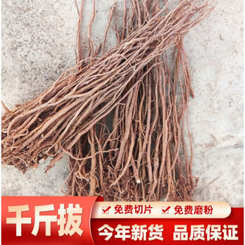 野生千斤拨千金拔一条根吊马桩金牛尾500g