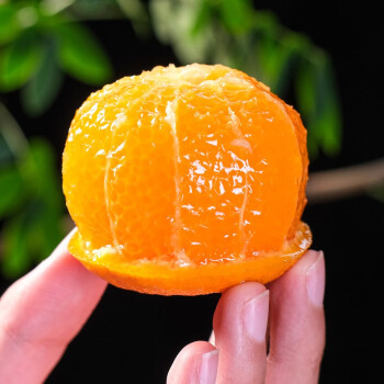 麻阳冰糖橙 湖南新鲜甜橙当季手剥橙子水果整箱 可选大果 9斤装中果