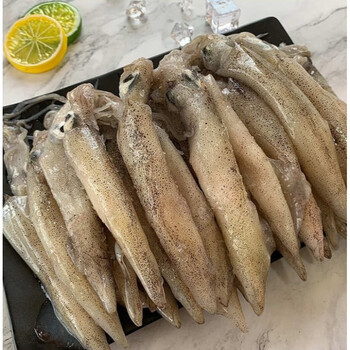 笔管鱼 海兔子新鲜带籽海鲜水产可选带籽海兔 半斤装