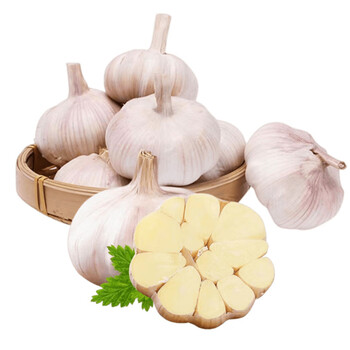果萌芽京地达 新干蒜 紫皮大蒜头 净重2斤