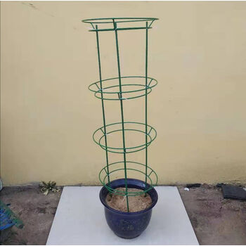 涞思芊品质保证蟹爪兰仙人掌嫁接球兰花架支架攀爬园艺固定架支撑架