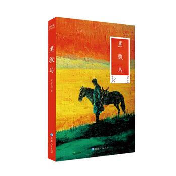黑骏马张承志青海人民出版社