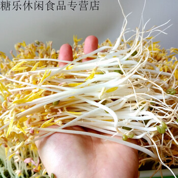 关注店铺联系客服糖乐休闲食品专营店2斤新货大粒发豆芽专用绿豆 东北