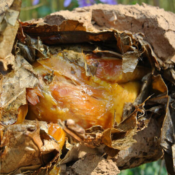 晨臻 正宗黄泥叫花鸡整只即食荷叶鸡烤鸡老式烧鸡手撕鸡 叫花鸡原味