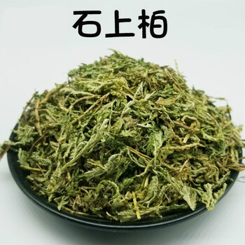 石上柏深绿卷柏梭罗草地梭罗薄叶龙鳞草精选1000g