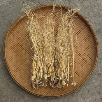 石参根岩参石参石豇豆岩参黄瓜参白石参 500克