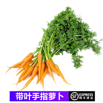 迷你帶葉小胡蘿蔔 西餐蔬菜 500g>桃李村>根莖類>蔬菜>