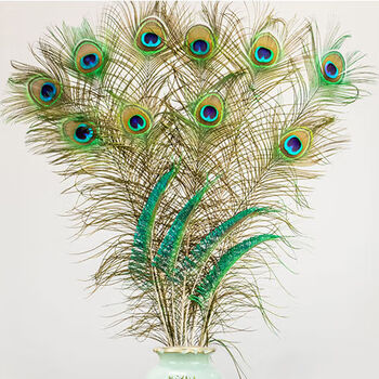 孔雀尾羽 孔雀尾孔雀摆件孔雀尾羽 天然孔雀羽毛翎尾大眼睛diy饰品