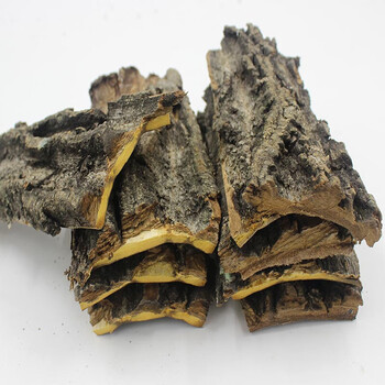 长白山核桃树皮东北核桃树皮野生山核桃皮非树枝500g泡水伊梵麦【图片