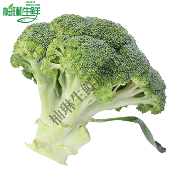 西兰花新鲜西蓝花农家绿色青花菜花椰菜5斤西兰花 图片价格品牌报价 京东
