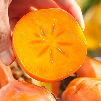 脆柿子甜柿子陕西阳丰脆柿子脆甜不涩巧克力口感无核硬柿子新鲜巧克力