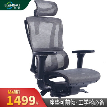 恋树（LIANSHU） L1电脑椅家用 人体工学椅子 办公椅可躺 老板椅 转椅 撑腰电竞椅 灰色（网布座垫）