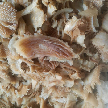 商用黑白毛肚肚头边角料5斤装新鲜牛百叶冒菜串串火锅食材牛肚杂整个