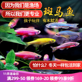 云峰海瑞水族活体商品价格历史走势及评测