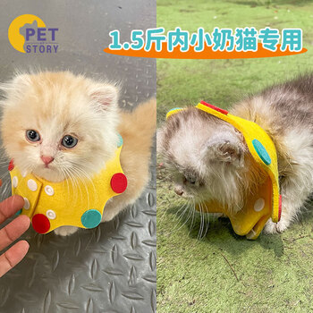 aipetofstory特小猫咪伊丽莎白圈薄软圈幼猫咪头套防舔咬耻辱项圈奶猫脖圈