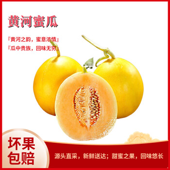 遇见悯农 黄金蜜瓜 含箱9斤 优选装（红白肉随机）
