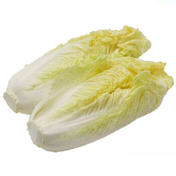 娃娃菜新鲜小白菜农家自种当季黄牙白蔬菜3颗1包