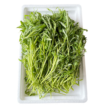 东北特产山新鲜柳蒿芽柳蒿现采现发顺丰蘸酱山菜时令蔬菜1000g