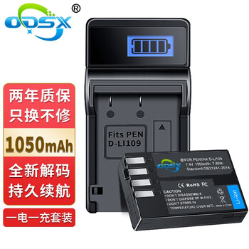 奥德盛（ODSX） 适用 宾得 K30 K-R k50 K70 K-S1 K-S2 Kp K500 相机 电池充电器套装 (一电一充)  D-LI109