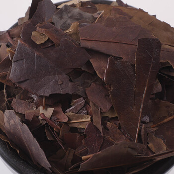 仕联四季青50g1000克四季青叶红冬青非野生中药材中草药店铺250g