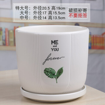 芊堂苑花盆陶瓷带托盘家用室内简约个性多肉创意吊兰蝴蝶兰绿萝兰花盆景 7249470 17CM