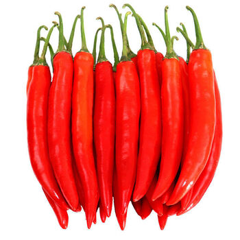 新鲜红辣椒美人椒海花红微辣辣椒发价剁椒泡椒辣椒酱 一斤偿个鲜 微辣
