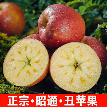 云南昭通丑苹果冰糖心苹果当季红富士新鲜苹果昭通特产水果 5斤（75-80精选）