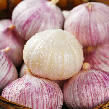 云南紫皮大蒜9斤新鲜独头蒜紫皮蒜农家蔬菜独蒜红皮干蒜大蒜头 4500g