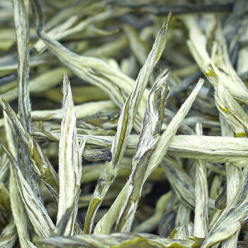 茗星笑香针绿茶2023新茶云南绿茶叶浓香型毛尖春尖银丝松针250g散装