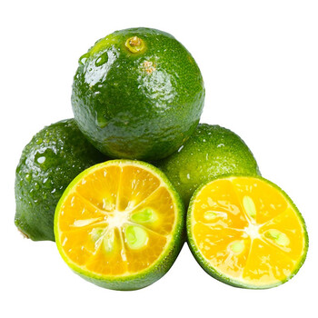 海南小金桔新鲜青金桔小橘子奶茶店原料当季新鲜水果500g尝鲜