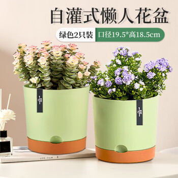 价格走势大揭秘:如何捕捉最优惠的时机