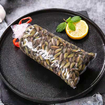 六鲜钓海旗舰店海瓜子肉薄壳米潮汕特产新鲜盐鸿潮菜贝类海鲜水产两斤