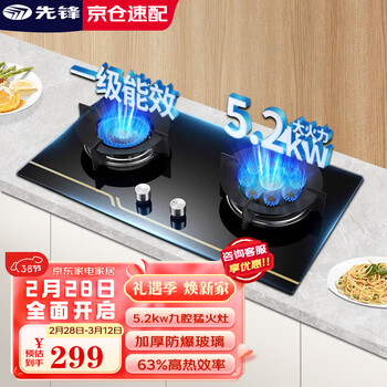 先锋（SINGFUN）燃气灶5.2kW大火力 玻璃九头鸳鸯家用嵌入式台式两用双灶 燃气灶具XF-R02（天然气）
